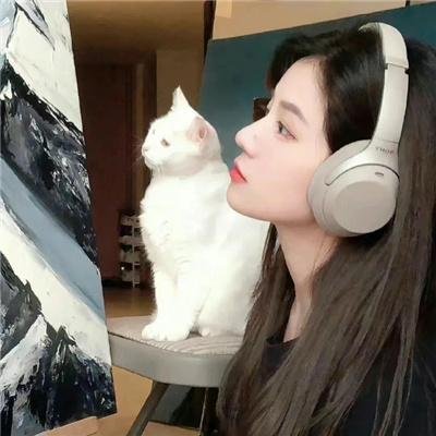 完美的他人